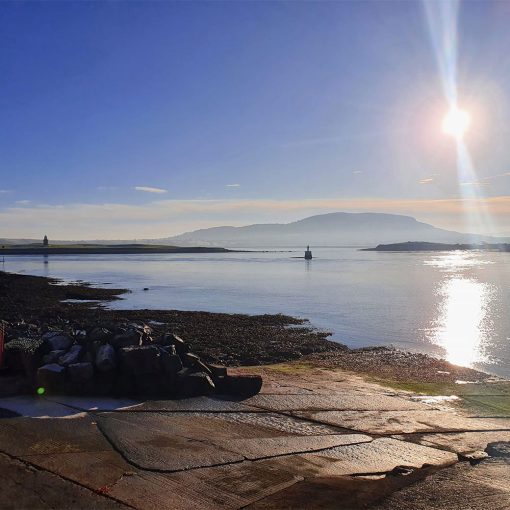 Gallery Fish and Bean